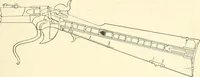 An illustration from Triumphs and wonders of the 19th century, a volume of original, historic and descriptive writings showing the many and marvellous achievements which distinguish an hundred years of material, intellectual, social and moral progress (1901)