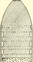 Picture 167 of 366 from Triumphs and wonders of the 19th century, a volume of original, historic and descriptive writings showing the many and marvellous achievements which distinguish an hundred years of material, intellectual, social and moral progress (1901), leaf 317