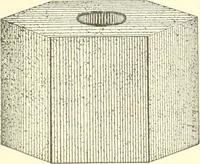 An illustration from Triumphs and wonders of the 19th century, a volume of original, historic and descriptive writings showing the many and marvellous achievements which distinguish an hundred years of material, intellectual, social and moral progress (1901)