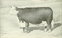 Picture 182 of 366 from Triumphs and wonders of the 19th century, a volume of original, historic and descriptive writings showing the many and marvellous achievements which distinguish an hundred years of material, intellectual, social and moral progress (1901), leaf 345