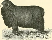 An illustration from Triumphs and wonders of the 19th century, a volume of original, historic and descriptive writings showing the many and marvellous achievements which distinguish an hundred years of material, intellectual, social and moral progress (1901)