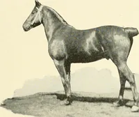 An illustration from Triumphs and wonders of the 19th century, a volume of original, historic and descriptive writings showing the many and marvellous achievements which distinguish an hundred years of material, intellectual, social and moral progress (1901)