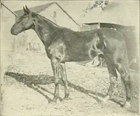 An illustration from Triumphs and wonders of the 19th century, a volume of original, historic and descriptive writings showing the many and marvellous achievements which distinguish an hundred years of material, intellectual, social and moral progress (1901)