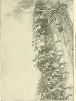 An illustration from Triumphs and wonders of the 19th century, a volume of original, historic and descriptive writings showing the many and marvellous achievements which distinguish an hundred years of material, intellectual, social and moral progress (1901)