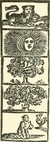 Picture 276 of 366 from Triumphs and wonders of the 19th century, a volume of original, historic and descriptive writings showing the many and marvellous achievements which distinguish an hundred years of material, intellectual, social and moral progress (1901), leaf 562