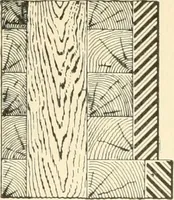 An illustration from Triumphs and wonders of the 19th century, a volume of original, historic and descriptive writings showing the many and marvellous achievements which distinguish an hundred years of material, intellectual, social and moral progress (1901)