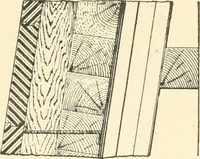 An illustration from Triumphs and wonders of the 19th century, a volume of original, historic and descriptive writings showing the many and marvellous achievements which distinguish an hundred years of material, intellectual, social and moral progress (1901)