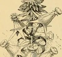 An illustration from Triumphs and wonders of the 19th century, the true mirror of a phenomenal era, a volume of original, entertaining and instructive historic and descriptive writings, showing the many and marvellous achievements which distinguish an hundred years of material, intellectual, social and moral progress .. (1899)