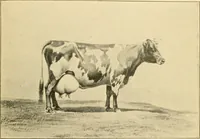 An illustration from Triumphs and wonders of the 19th century, the true mirror of a phenomenal era, a volume of original, entertaining and instructive historic and descriptive writings, showing the many and marvellous achievements which distinguish an hundred years of material, intellectual, social and moral progress .. (1899)