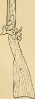 An illustration from Triumphs and wonders of the 19th century, the true mirror of a phenomenal era, a volume of original, entertaining and instructive historic and descriptive writings, showing the many and marvellous achievements which distinguish an hundred years of material, intellectual, social and moral progress .. (1899)