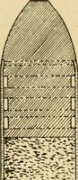 An illustration from Triumphs and wonders of the 19th century, the true mirror of a phenomenal era, a volume of original, entertaining and instructive historic and descriptive writings, showing the many and marvellous achievements which distinguish an hundred years of material, intellectual, social and moral progress .. (1899)