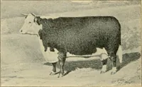 An illustration from Triumphs and wonders of the 19th century, the true mirror of a phenomenal era, a volume of original, entertaining and instructive historic and descriptive writings, showing the many and marvellous achievements which distinguish an hundred years of material, intellectual, social and moral progress .. (1899)