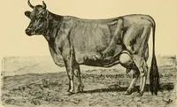 An illustration from Triumphs and wonders of the 19th century, the true mirror of a phenomenal era, a volume of original, entertaining and instructive historic and descriptive writings, showing the many and marvellous achievements which distinguish an hundred years of material, intellectual, social and moral progress .. (1899)