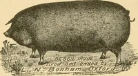 An illustration from Triumphs and wonders of the 19th century, the true mirror of a phenomenal era, a volume of original, entertaining and instructive historic and descriptive writings, showing the many and marvellous achievements which distinguish an hundred years of material, intellectual, social and moral progress .. (1899)
