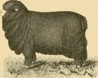 An illustration from Triumphs and wonders of the 19th century, the true mirror of a phenomenal era, a volume of original, entertaining and instructive historic and descriptive writings, showing the many and marvellous achievements which distinguish an hundred years of material, intellectual, social and moral progress .. (1899)