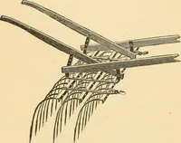 An illustration from Triumphs and wonders of the 19th century, the true mirror of a phenomenal era, a volume of original, entertaining and instructive historic and descriptive writings, showing the many and marvellous achievements which distinguish an hundred years of material, intellectual, social and moral progress .. (1899)