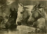 An illustration from Triumphs and wonders of the 19th century, the true mirror of a phenomenal era, a volume of original, entertaining and instructive historic and descriptive writings, showing the many and marvellous achievements which distinguish an hundred years of material, intellectual, social and moral progress .. (1899)
