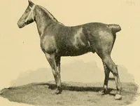 An illustration from Triumphs and wonders of the 19th century, the true mirror of a phenomenal era, a volume of original, entertaining and instructive historic and descriptive writings, showing the many and marvellous achievements which distinguish an hundred years of material, intellectual, social and moral progress .. (1899)