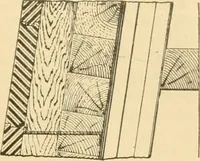 An illustration from Triumphs and wonders of the 19th century, the true mirror of a phenomenal era, a volume of original, entertaining and instructive historic and descriptive writings, showing the many and marvellous achievements which distinguish an hundred years of material, intellectual, social and moral progress .. (1899)