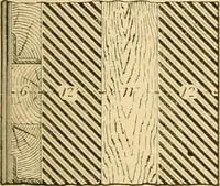 An illustration from Triumphs and wonders of the 19th century, the true mirror of a phenomenal era, a volume of original, entertaining and instructive historic and descriptive writings, showing the many and marvellous achievements which distinguish an hundred years of material, intellectual, social and moral progress .. (1899)