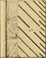 An illustration from Triumphs and wonders of the 19th century, the true mirror of a phenomenal era, a volume of original, entertaining and instructive historic and descriptive writings, showing the many and marvellous achievements which distinguish an hundred years of material, intellectual, social and moral progress .. (1899)