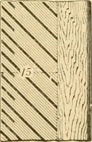 An illustration from Triumphs and wonders of the 19th century, the true mirror of a phenomenal era, a volume of original, entertaining and instructive historic and descriptive writings, showing the many and marvellous achievements which distinguish an hundred years of material, intellectual, social and moral progress .. (1899)