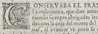 An illustration from Trofeo de la justicia española en el castigo de la alevosia francesa : que al abrigo de la armada de Barlovento, executaron los lanzeros de la isla de Santo Domingo, en los que de aquella nacion ocupan sus costas. Debido todo à providentes ordenes del ex[celentissi]mo señor d[on] Gaspar de Sandoval Cerda Silva y Mendoza, conde de Galve, virrey de la Nueva-Espanã. (1691)