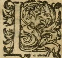 An illustration from Trois traitez de la philosophie natvrelle, non encore imprimez : scavoir, Le secret livre dv tres-ancien philosophe Artephivs, traitant de l'art occulte & transmutation metallique, latin françois : plvs, Les figvres hierogliphiqves de Nicolas Flamel, ainsi qu'il les a mises en la quatriesme arche qu'il a bastie au Cimetiere des innocens à Paris, entrant par la grande porte de la ruë S. Denys, & prenant la main droite, auec l'explication d'icelles par iceluy Flamel : ensemble, Le vray liure du docte Synesivs abbé grec, tiré de la bibliotheque de l'empereur sur le mesme subiect (1612)