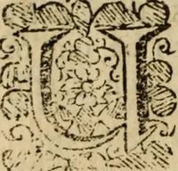 An illustration from The true history of councils enlarged and defended : against the deceits of a pretended vindicator of the primitive church .. (1682)