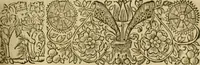 Picture 11 of 11 from The true intellectual system of the universe : the first part; wherein, all the reason and philosophy of atheism is confuted; and its impossibility demonstrated (1678), leaf 652