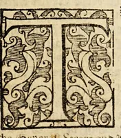 An illustration from The true and perfect description of three voyages, so strange and woonderfull, that the like hath neuer been heard of before ... by the ships of Holland and Zeland, on the North sides of Norway, Muscouia and Tartaria, towards the kingdomes of Cathaia & China; shewing the discouerie of the straights of Weigates, Noua Zembla, and ... Greenland . (1609)
