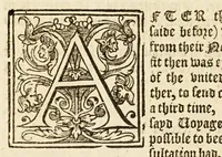 An illustration from The true and perfect description of three voyages, so strange and woonderfull, that the like hath neuer been heard of before ... by the ships of Holland and Zeland, on the North sides of Norway, Muscouia and Tartaria, towards the kingdomes of Cathaia & China; shewing the discouerie of the straights of Weigates, Noua Zembla, and ... Greenland . (1609)