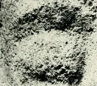 Picture 35 of 68 from Étrusques -- Rome (1900), leaf 180