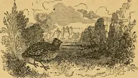 An illustration from The truth of revelation : demonstrated by an appeal to existing monuments, sculptures, gems, coins, and medals (1840)