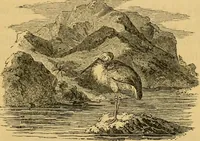 An illustration from The truth of revelation : demonstrated by an appeal to existing monuments, sculptures, gems, coins, and medals (1840)