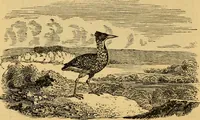 An illustration from The truth of revelation : demonstrated by an appeal to existing monuments, sculptures, gems, coins, and medals (1840)