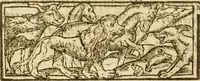 Picture 8 of 18 from A trve relation of the vnivst, crvell, and barbarovs proceedings against the English at Amboyna in the East-Indies (1624), leaf 56