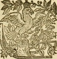 An illustration from A trve relation of the vnivst, crvell, and barbarovs proceedings against the English at Amboyna in the East-Indies (1624)