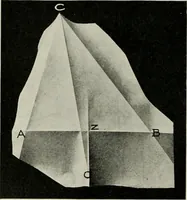An illustration from T. Sundara Row's geometric exercises in paper folding. Edited and rev. by Wooster Woodruff Beman and David Eugene Smith (1901)