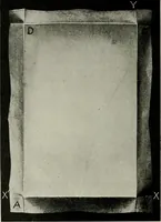 An illustration from T. Sundara Row's geometric exercises in paper folding. Edited and rev. by Wooster Woodruff Beman and David Eugene Smith (1901)