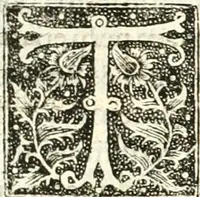 An illustration from Tuba danica, hoc est, Dissertatio theologica de aureo cornu in Cimbriâ invento, qvo, ceu tubâ clangente, Deus Opt. Max. nos, qvi regnum Daniae incolimus, excitat ex infelici securitatis somno ... (1644)