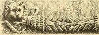 An illustration from Étude des ornements : première partie : dauphins-écailles-bucrânes-grecques-guirlandes-flots grecs (1896)