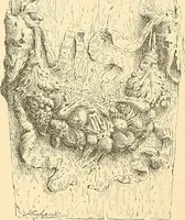 An illustration from Étude des ornements : première partie : dauphins-écailles-bucrânes-grecques-guirlandes-flots grecs (1896)