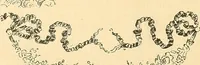 An illustration from Étude des ornements : première partie : dauphins-écailles-bucrânes-grecques-guirlandes-flots grecs (1896)