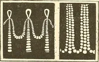 Picture 254 of 287 from Étude des ornements : première partie : dauphins-écailles-bucrânes-grecques-guirlandes-flots grecs (1896), leaf 193