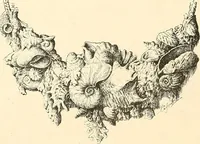 An illustration from Étude des ornements : première partie : dauphins-écailles-bucrânes-grecques-guirlandes-flots grecs (1896)