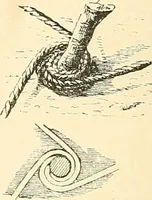 An illustration from Étude des ornements : première partie : dauphins-écailles-bucrânes-grecques-guirlandes-flots grecs (1896)