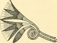 An illustration from Étude des ornements : première partie : dauphins-écailles-bucrânes-grecques-guirlandes-flots grecs (1896)
