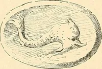 Picture 15 of 287 from Étude des ornements : première partie : dauphins-écailles-bucrânes-grecques-guirlandes-flots grecs (1896), leaf 29