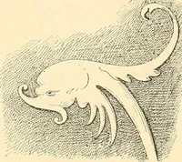 An illustration from Étude des ornements : première partie : dauphins-écailles-bucrânes-grecques-guirlandes-flots grecs (1896)